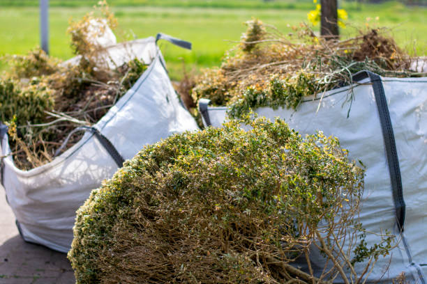 Best Local Junk Hauling  in Sleepy Eye, MN