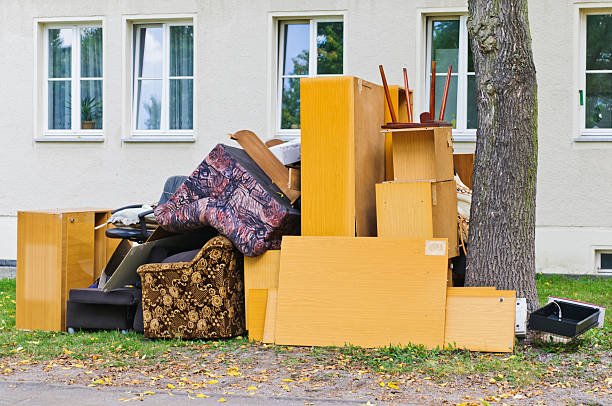 Best Household Junk Removal  in Sleepy Eye, MN